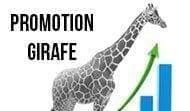 La promotion Girafe d'une Agence web