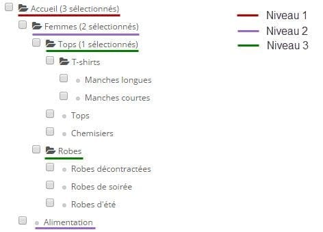 niveau-categories