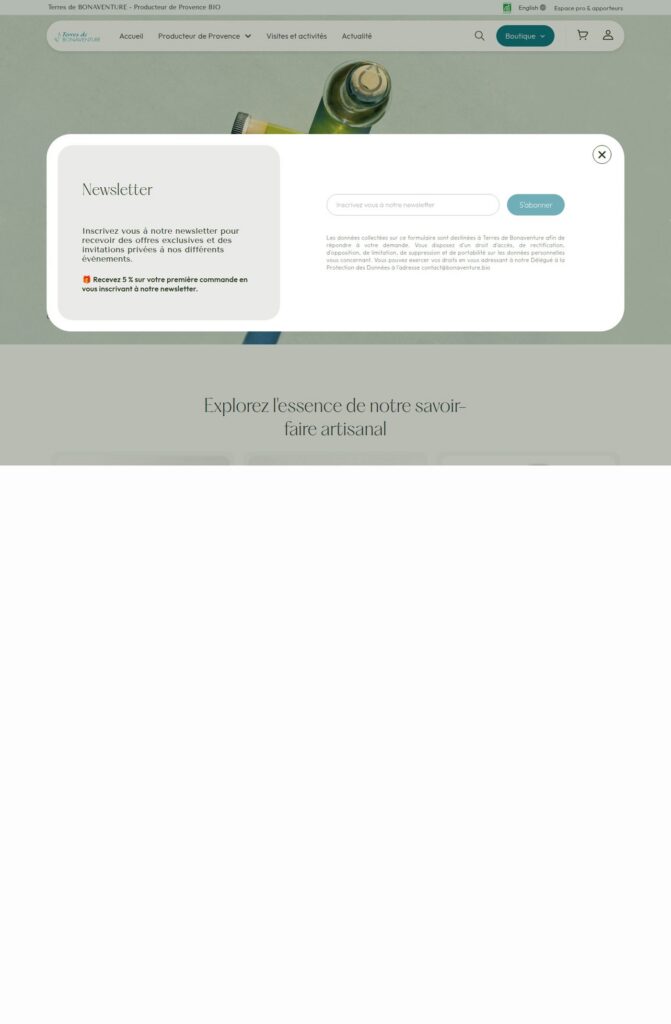 Page d'accueil du site Bonaventure, référence LIJE Creative