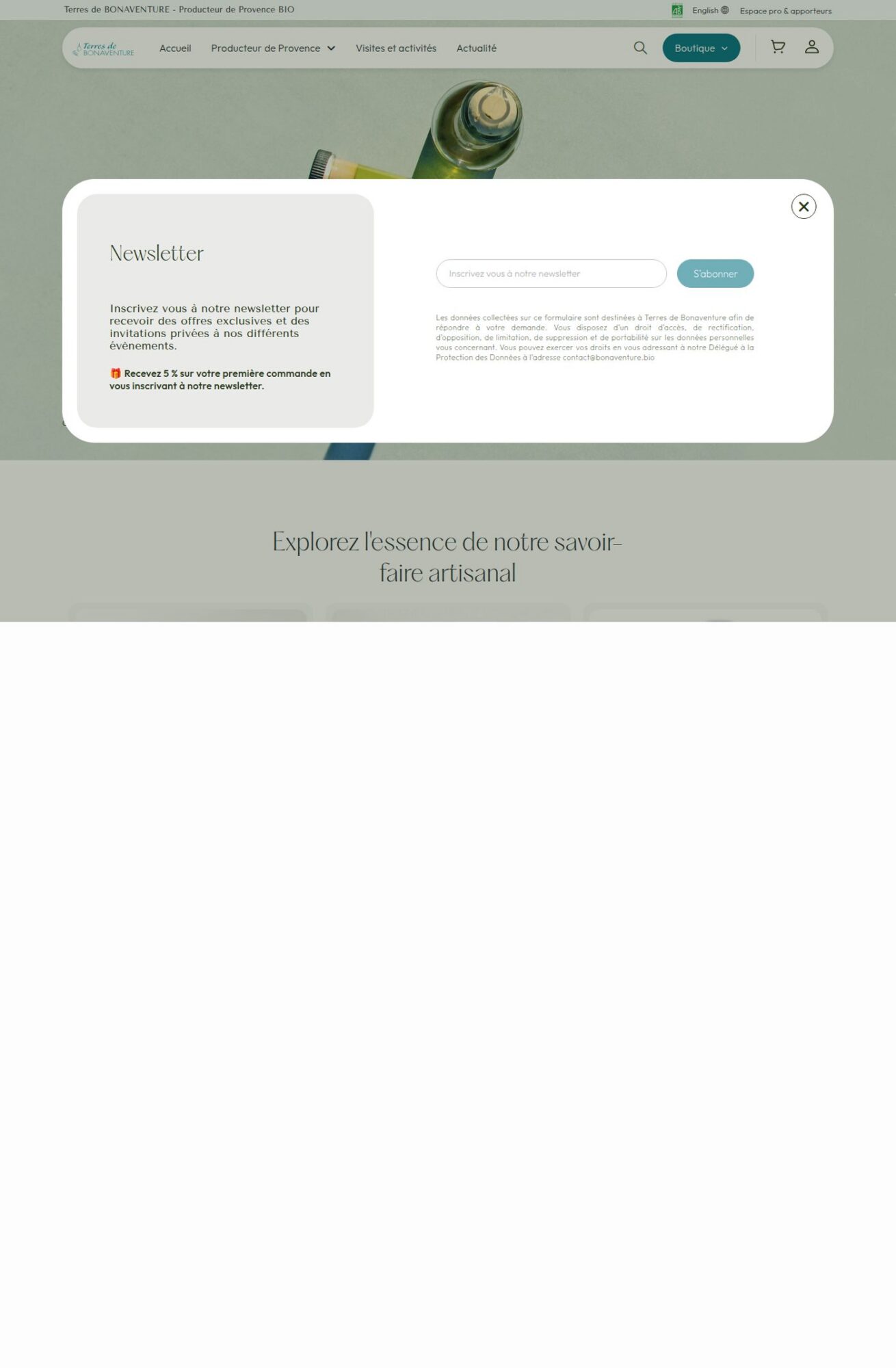 Page d'accueil du site Bonaventure, référence LIJE Creative